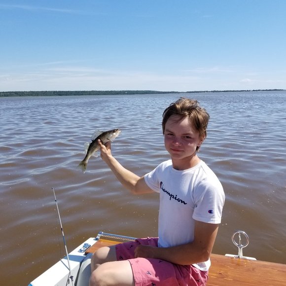 Meet your Posher, Malachi - Picture 2 of 4